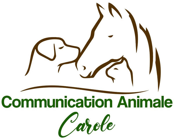 Communication Animale Carole 